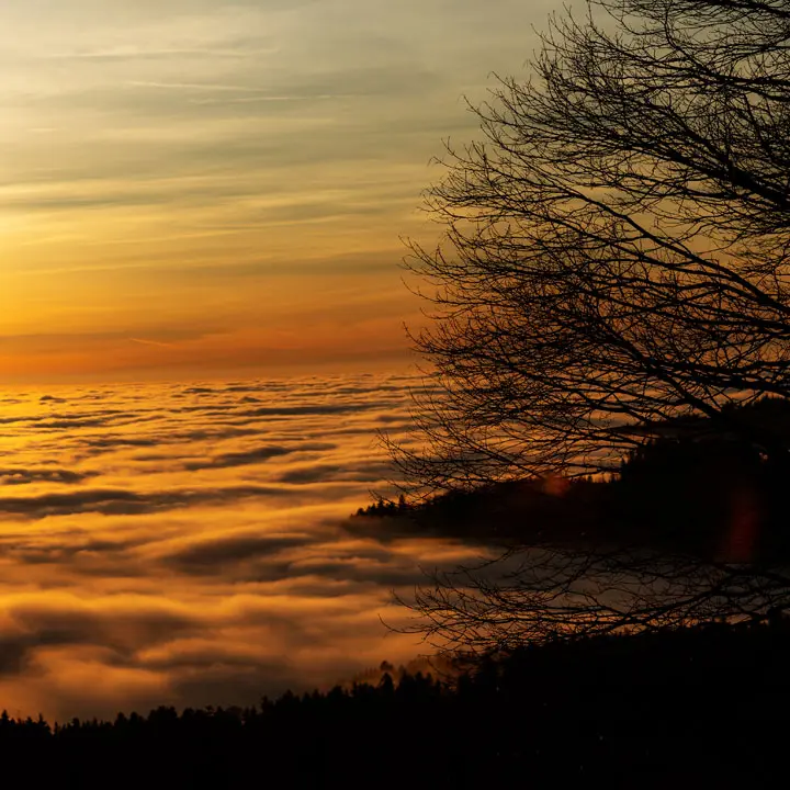 Exklusive Dokumentation vom Abenteuer G-Klasse auf der Etappe v219. Ein weiter Blick bei Sonnenuntergang hoch über dem Wolkenmeer auf der Route von Elisabethszell über Rattenberg und den Höllensteinsee nach Bad Kötzting, fotografiert von artopica.net Walter Jahrstorfer.